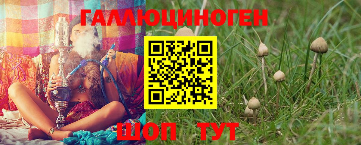 Галлюциногенные грибы Psilocybe  Галлюциногенные грибы Magic Shrooms  Вход с VPN  Мончегорск 