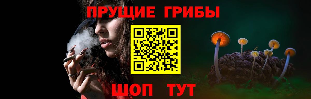 Галлюциногенные грибы Cubensis Мончегорск